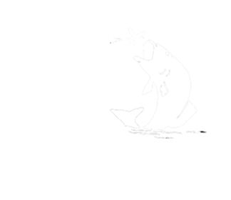 Místní rybářský spolek Radovesnice II