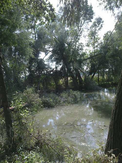 24082012048 – kopie