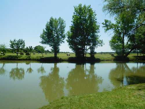 PHOTO-2025-07-01-13-12-42