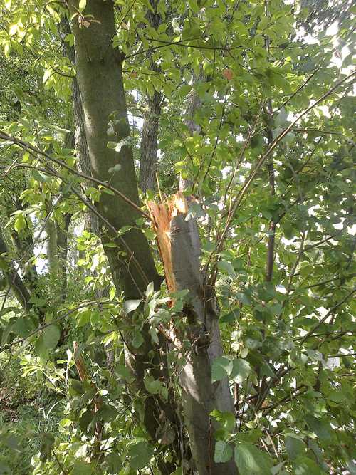 24082012050 – kopie