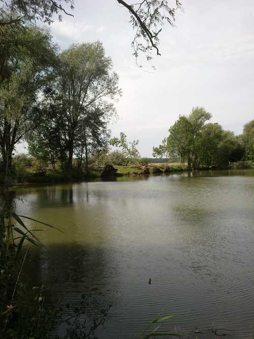 24082012051 – kopie