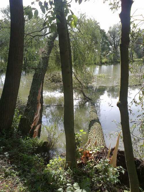 24082012047 – kopie