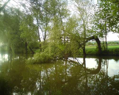 Povodně, vichřice 2012